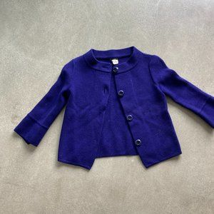JC Crew Wool Sweater